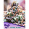 Future Island de Anesia Seeds