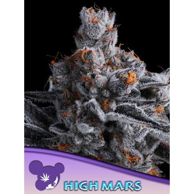 High MARS de Anesia Seeds