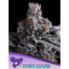 High MARS de Anesia Seeds