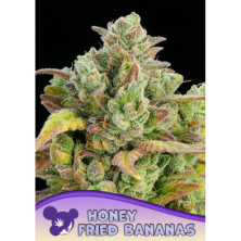 Honey Fried Bananas de Anesia Seeds