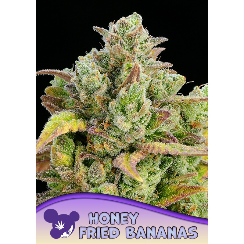 Honey Fried Bananas de Anesia Seeds