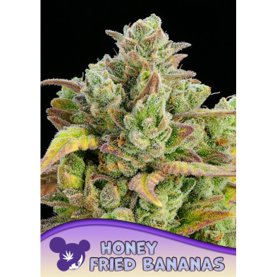 Honey Fried Bananas de Anesia Seeds