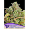 Honey Fried Bananas de Anesia Seeds