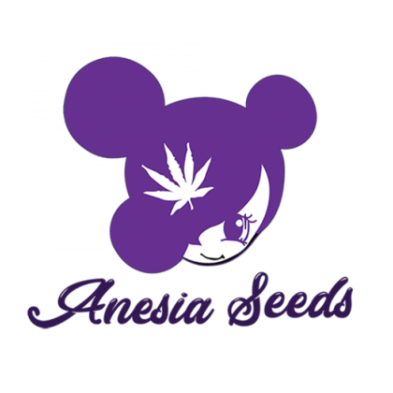 Indoor Massive Mix de Anesia Seeds