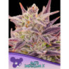 Auto Imperium X de Anesia Seeds