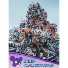 Deep Jealousy Auto de Anesia Seeds
