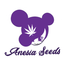 XXL Automatic Mix de Anesia Seeds