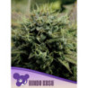 Hindu Kush de Anesia Seeds