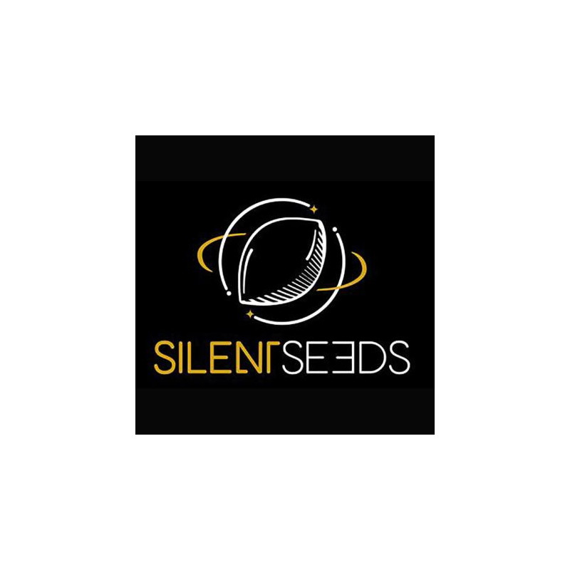 B-45 de Silent Seeds