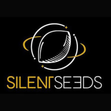 Peach Cake de Silent Seeds