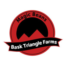 Pink Burger Bask Triangle Farms 3+1 semillas