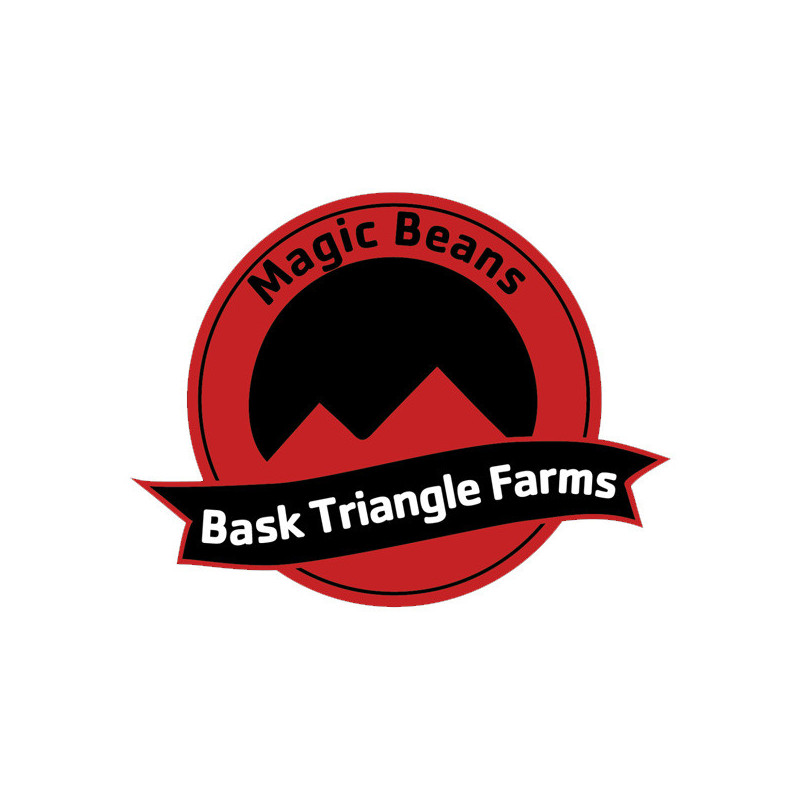 Pink Burger Bask Triangle Farms 3+1 semillas