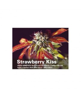Strawberry Kiss online comprar Strawberry Kiss