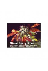Strawberry Kiss de Bcn Seeds
