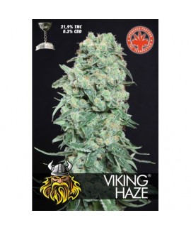 Viking Haze
