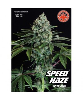 Speed Haze