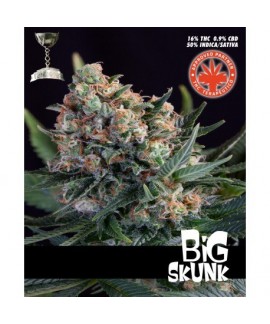 Big Skunk de Pure Seeds