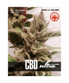 CBD Ultra de Pure Seeds CBD