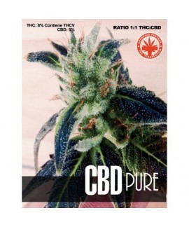 CBD Pure de Pure Seeds CBD