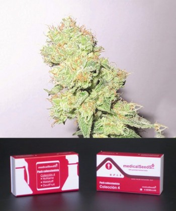 Comprar Colección 4 Feminizada de Medical Seeds