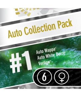 Coleccion Auto 1 online comprar Coleccion Auto 1
