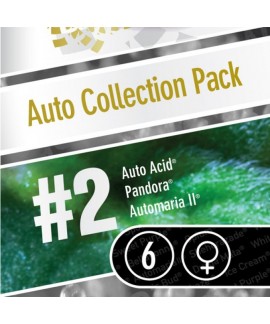 Coleccion Auto 2 online comprar Coleccion Auto 2