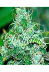 Fruity Chronic Juice de Delicious Seeds (Indica Line)