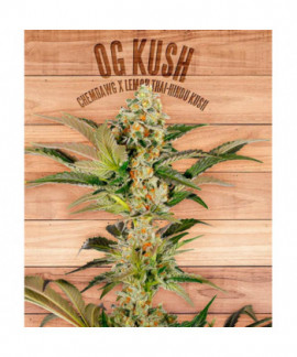 Og Kush