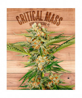 Critical Mass