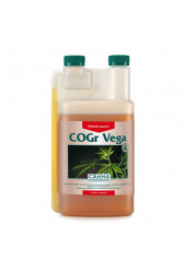 COGr Vega A+B - Canna