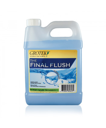 Final Flush Regular