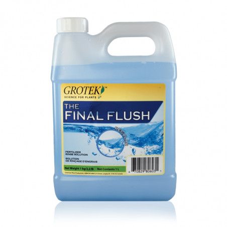 Final Flush Regular