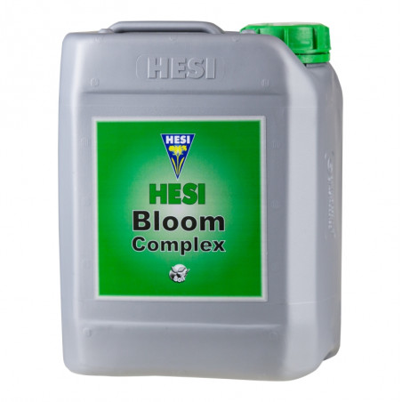 Bloom Complex