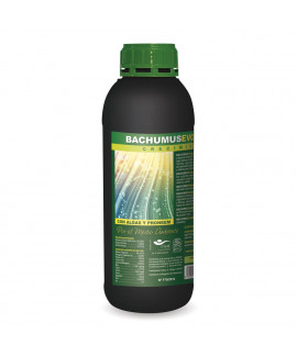 Bachumus Evolution Crecimiento - Trabe online comprar Bachumus Evolution Crecimiento - Trabe