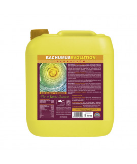 Bachumus Evolution Floracion online comprar Bachumus Evolution Floracion