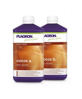 Coco A+B online comprar Coco A+B