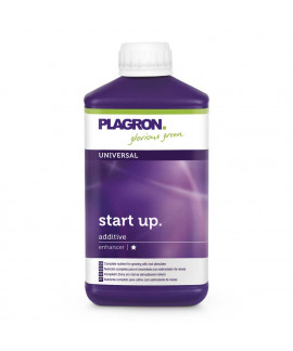 Start Up online comprar Start Up
