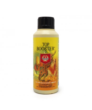 Top Booster Comprar Top Booster de House & Garden