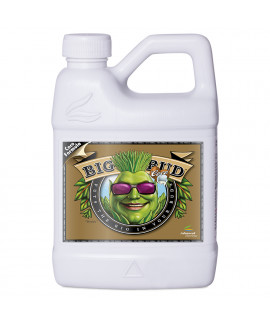 Big Bud Coco online comprar Big Bud Coco