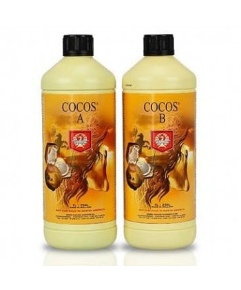 Comprar Coco A+B de House & Garden