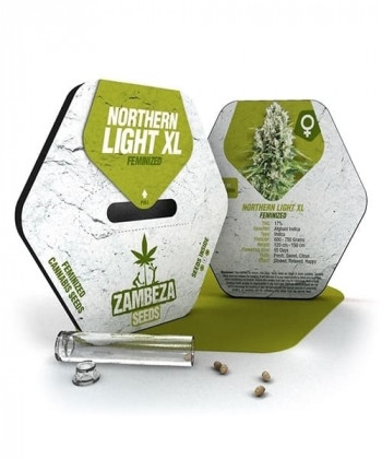 Comprar Northern Lights XL de Zambeza Seeds