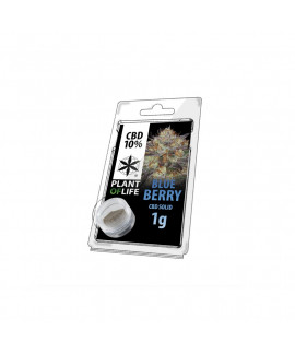 CBD Solid 10% Blueberry de Plant of Life