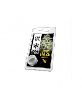CBD Solid Lemon Haze de Plant of Life