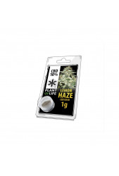 CBD Solid Lemon Haze de Plant of Life