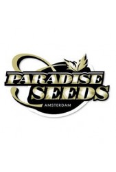 Comprar semillas Paradise Seeds autoflorecientes baratas