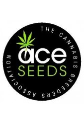 Venta de Semillas Ace Seeds ® | 100% Feminizadas ¿Las quieres?