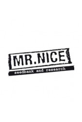 Comprar semillas regulares baratas de Mr Nice online