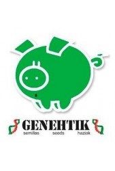 Semillas medicinales CBD Genehtik Seeds ¡Nuevas semillas!