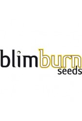 Venta de Semillas Blimburn Seeds ® feminizadas | Envío en 24 h ✓