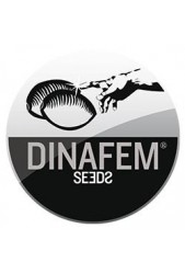 Semillas Dinafem Baratas Feminizadas ® ¡Todo el catálogo de Dinafem Seeds!